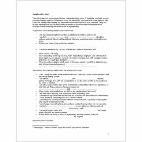 Safety Plan Template | Equation