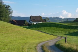 rural-abuse-1